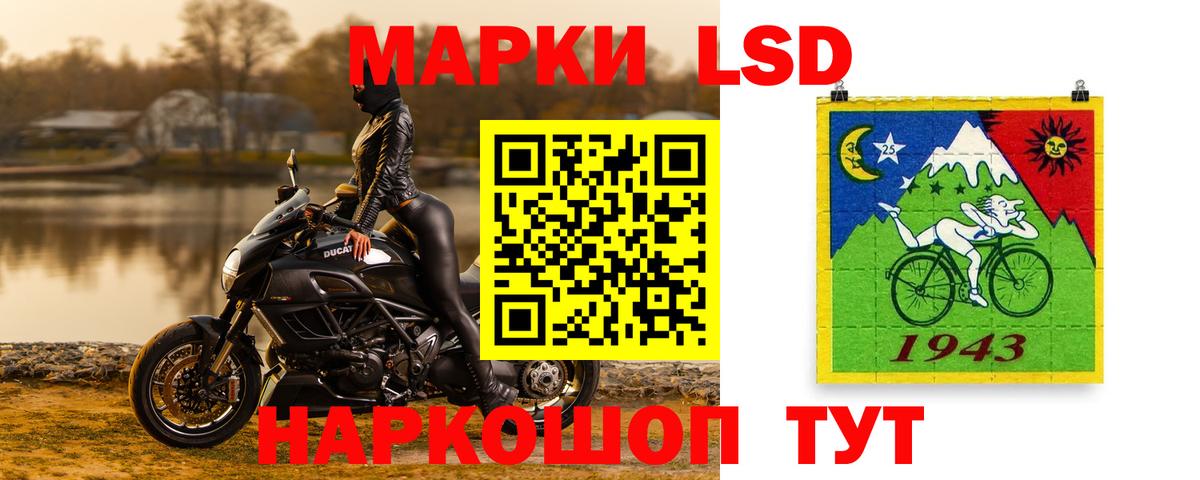 Галлюциногенные грибы Дзержинск