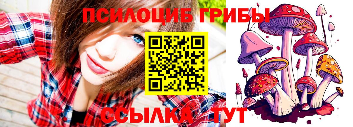 Псилоцибиновые грибы Psilocybe  Псилоцибиновые грибы мухоморы  Дзержинск 