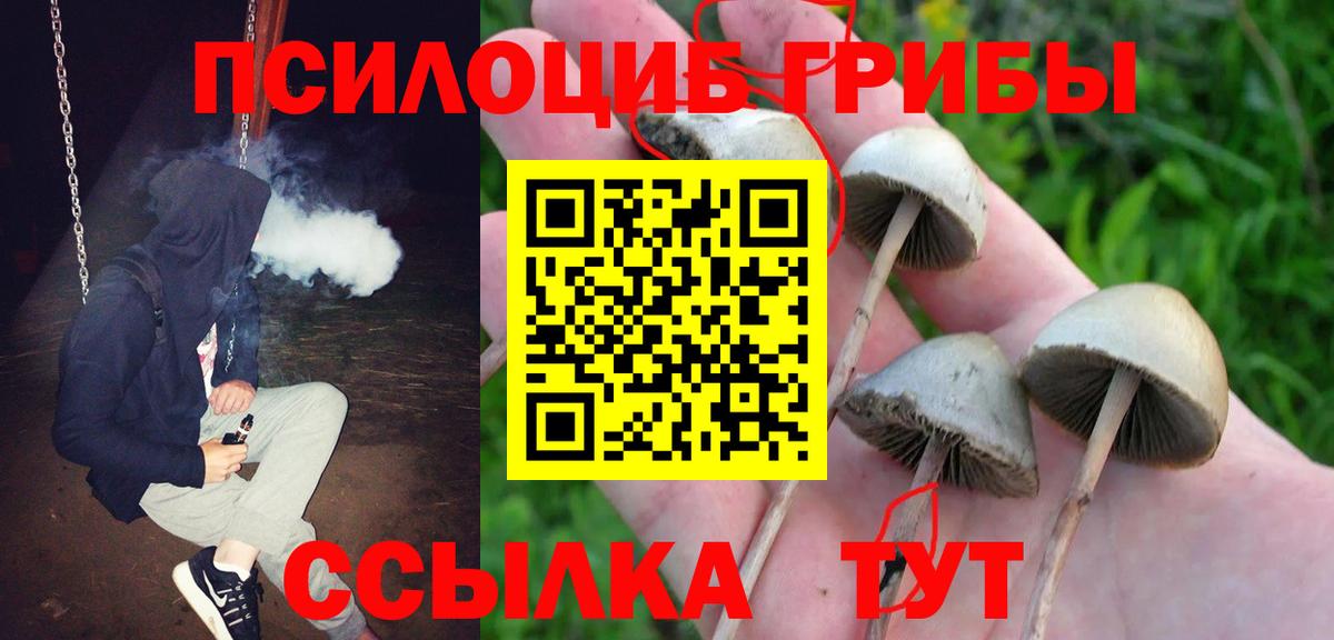 Галлюциногенные грибы Cubensis Дзержинск